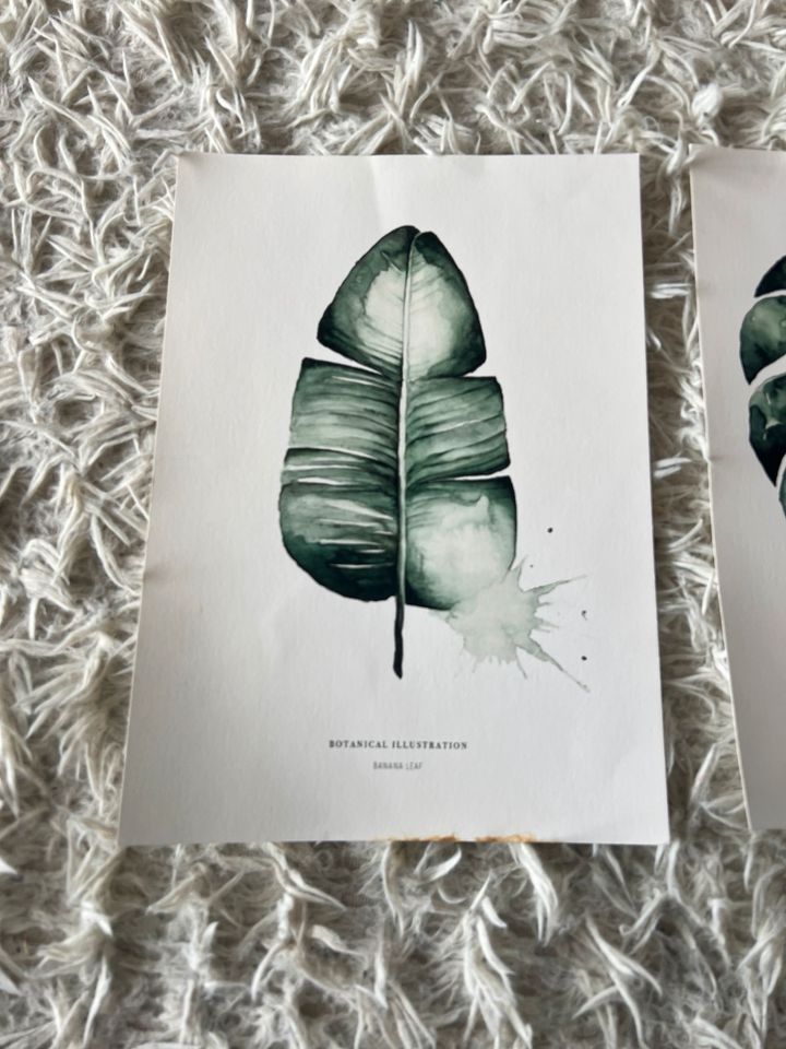 3 x Kunstdrucke A4 Botanical Illustration TOP in Hamburg