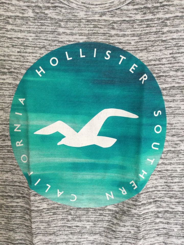 Hollister T- Shirt, Jungen, grau meliert, Logo Türkis, Größe S in Niederkrüchten