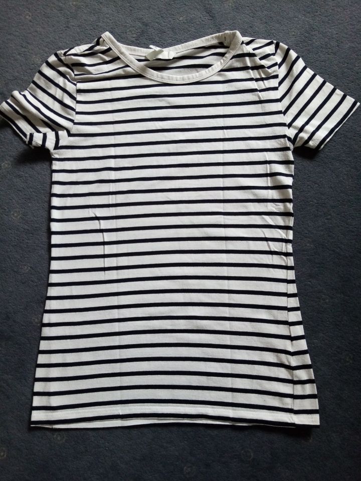 H&M T-Shirt Gr. 158 Gr. 164 XS weiss-schwarz Ringel top in Winsen (Luhe)
