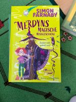 Kinderbuch Merdyns Magische Missgeschicke Brandenburg - Falkensee Vorschau