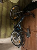 2 pegasus kinder fahrräder Nordrhein-Westfalen - Düren Vorschau