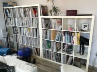Auflösung Vinyl-Sammlung: Avicii, Daft Punk, David Guetta, ATB .. Niedersachsen - Burgwedel Vorschau