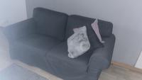 Gut erhaltene Ikea Zweiercouch Nordrhein-Westfalen - Mülheim (Ruhr) Vorschau