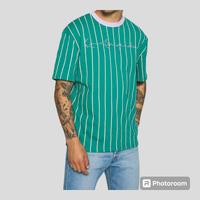 Karl Kani Herren DAMEN t-shirt Shirt S M gestreift print grün Nordrhein-Westfalen - Lünen Vorschau