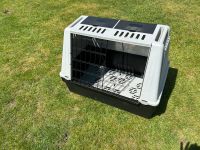 Hundebox Katzenbox Tier Transportbox Niedersachsen - Glandorf Vorschau