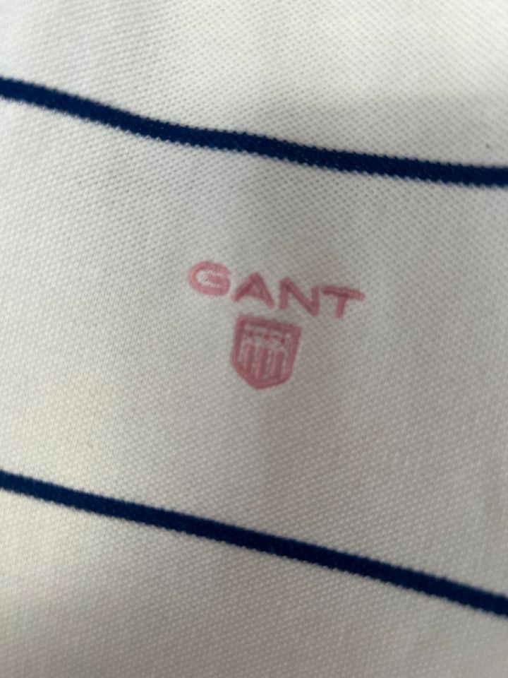 Gant Poloshirt XL neuwertig 3er Set in Meppen