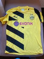 BVB Trikot Kampl Gr. S sehr guter Zustand Schleswig-Holstein - Norderstedt Vorschau