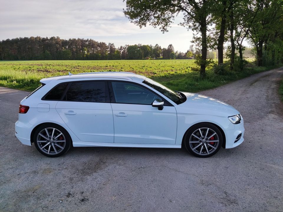 Audi S3 8V Sportback in Karwitz