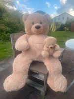 Riesen Teddybär Bayern - Gröbenzell Vorschau