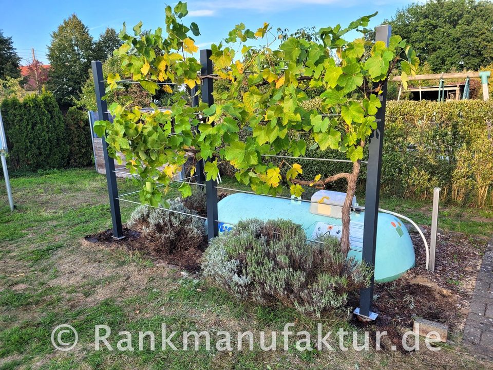 ☘️RANKMANUFAKTUR Design Rankhilfe Rankgerüst Kletterhilfe Rankgitter Spalier Rosenbogen Metall Holz Sichtschutz Garten Terasse Spalierobst Weinrebe Himbeeren Balkon Sichtschutzzaun Hochbeet Pergola ☘️ in Röthenbach