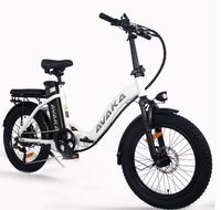 ebike Klapprad E-bike Pedelec 20", Akku 720Wh, 25 km/h, neuwertig Baden-Württemberg - Oberhausen-Rheinhausen Vorschau