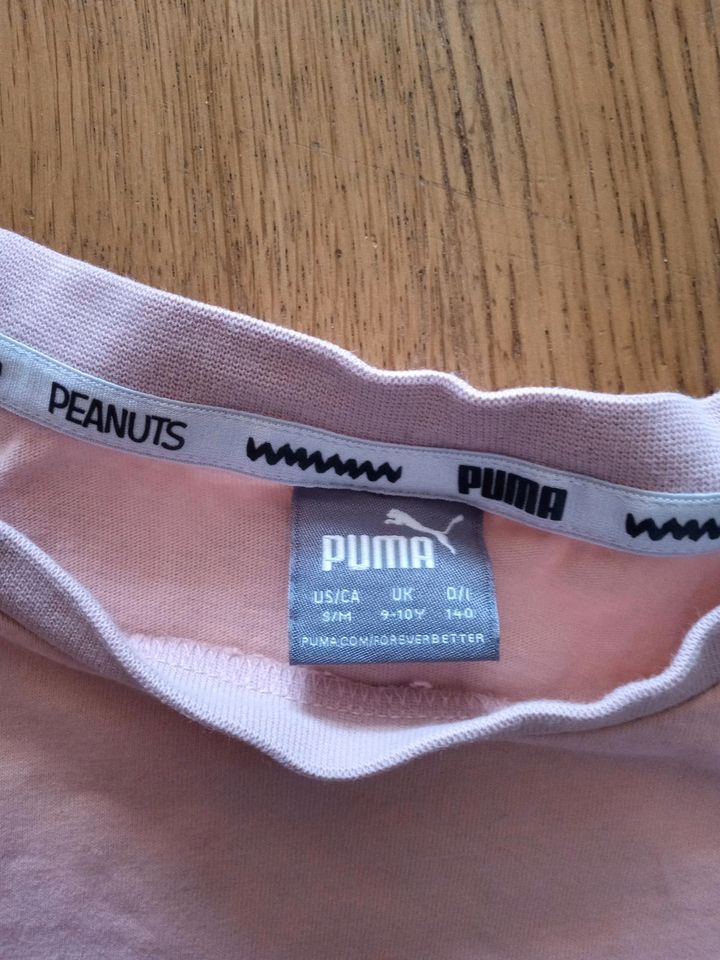 Puma Sport Outfit Größe 140 in Bispingen