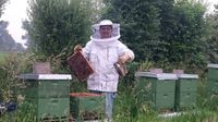 Bienenvolk Ableger Vorbestellung Bienen Honig Nordrhein-Westfalen - Kleve Vorschau