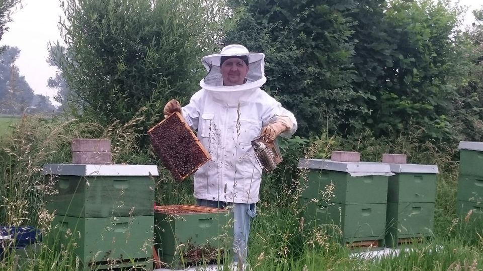 Bienenvolk Ableger Vorbestellung Bienen Honig in Kleve