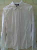 MANGO BASICS, WEIß, BLUSE, COTTON, ELASTAN. GR. M Düsseldorf - Heerdt Vorschau