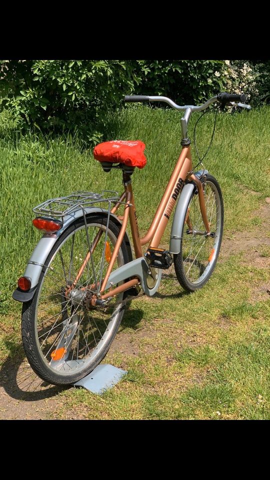 26 Zoll Damenfahrrad in Rüsselsheim