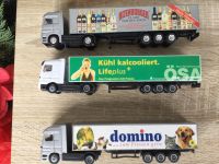 Sammel Lkw, Sammeltrucks, Modell Lkw, Hessen - Hanau Vorschau