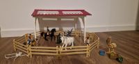 Schleich Reitschule mit Reiterinnen und Pferden 42389 Sachsen - Kesselsdorf Vorschau