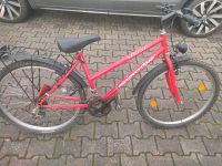 Fahrrad 26 Zoll  mit Lichter und Gäpektreger Hessen - Dietzenbach Vorschau