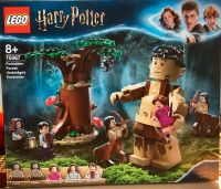 Lego Harry Potter 75967 Forbidden Forest: Umbridges Encounter Nordrhein-Westfalen - Willebadessen Vorschau