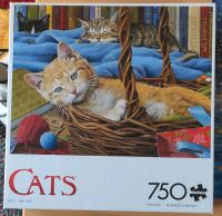Puzzle - Buffalo - 750 Teile - Cats Billy the Kit US Import Bayern - Deining Vorschau