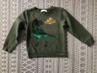 Wendepailletten T-Rex/ Tyrannosaurus Rex Pullover v. H&M Gr. 110 Niedersachsen - Neu Wulmstorf Vorschau