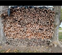 Brennholz Holz ofenfertig, getrocknet, Fichte, keine Esche, Buche Bayern - Jengen Vorschau