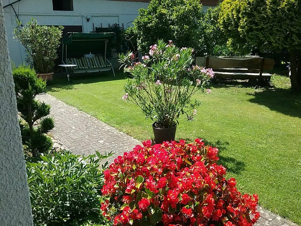 Großräumige Ferienwohnung im Spreewald in Burg (Spreewald)