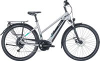 Pegasus EVO CX Trapez 625Wh (Silver Matt) 2023 Größe M,S UVP: Bayern - Würzburg Vorschau