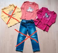 Mädchen-Set, Gr.110/116, Jeans, 2 Pferde-Langarmshirts Baden-Württemberg - Steinach Baden Vorschau