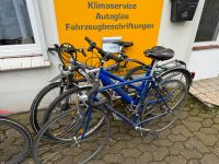Fahrräder 5 Stück Obervieland - Kattenturm Vorschau
