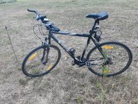 Fahrrad TREK schwarz silber 24 Gang Shimano 28 Zoll Niedersachsen - Bodenwerder Vorschau