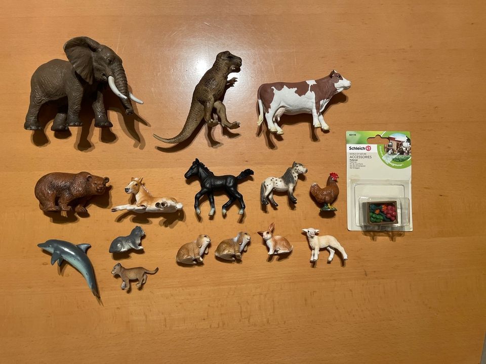 Schleich Tiere Hase Dino Lamm Kuh Fohlen Pony Bär Elefant Delfin in Gladenbach