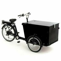 Lastendreirad Elektro E-Bike Cargobike Lastenfahrrad NEU Niedersachsen - Laatzen Vorschau