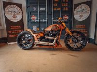 Harley-Davidson FXDRS 114  Custom-23" Zoll-Einarmschwinge-TOP! Düsseldorf - Heerdt Vorschau