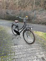 Vogue Elite Hollandrad Lastenrad Fahrrad Nordrhein-Westfalen - Königswinter Vorschau