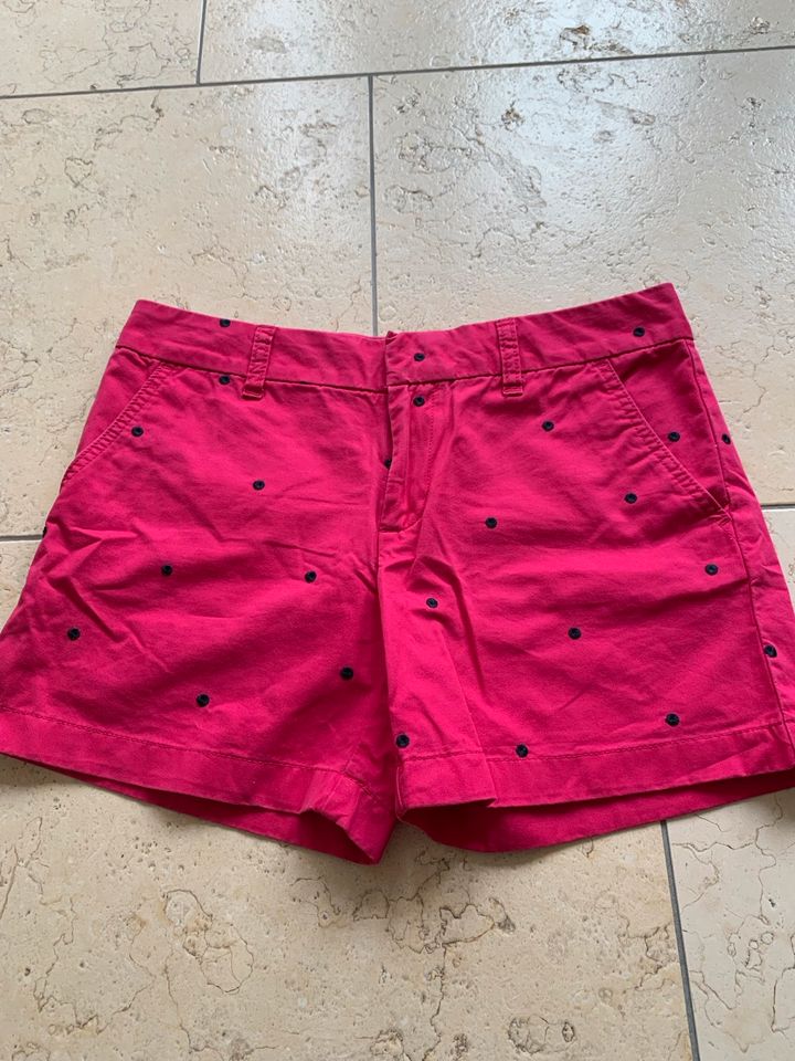 Tommy Hilfiger Shots, kurze Hose , 36 in Harsewinkel