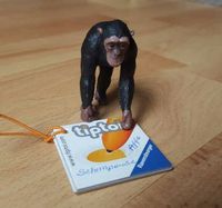 TIPTOI - Tier, Schimpanse Sachsen - Wittichenau Vorschau