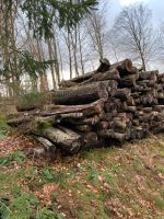 Brennholz Buche/ Eiche Nordrhein-Westfalen - Freudenberg Vorschau