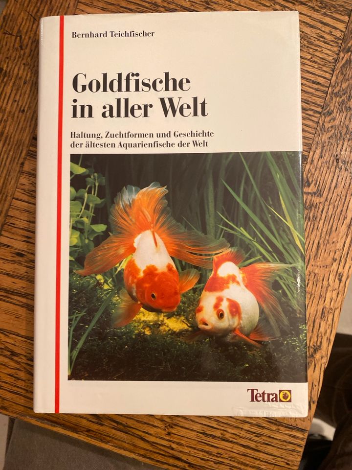 Goldfische in aller Welt in München