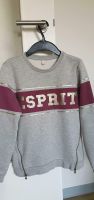 Esprit Sweatshirt Pullover Gr. M 152 Köln - Worringen Vorschau