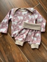 Set Baby Pullover Kurze Hose Sachsen - Diera-Zehren Vorschau