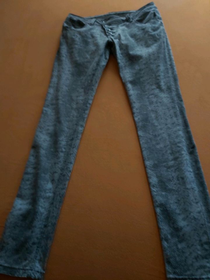 Buena Vista Jeans, Schlangenprint, M (40) in Lennestadt