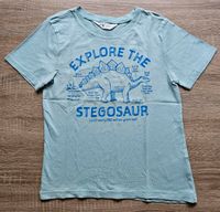 T-Shirt H&M Stegosaurus Gr.122/128 Frankfurt am Main - Niederursel Vorschau