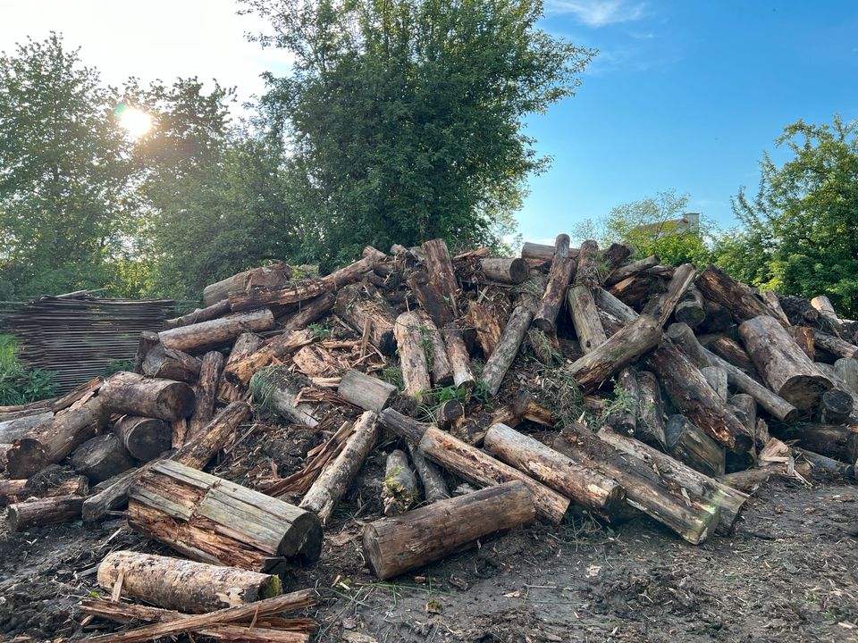 Brennholz / Stammholz / Baumstämme / Hackschnitzel in Attenkirchen