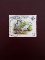 Seychellen Inselstaat Silberreiher Vogel  /68 Niedersachsen - Holtgast Vorschau