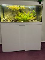 Eheim Aquarium vivaline led 180 Komplettset mit Unterschrank Hannover - Bothfeld-Vahrenheide Vorschau