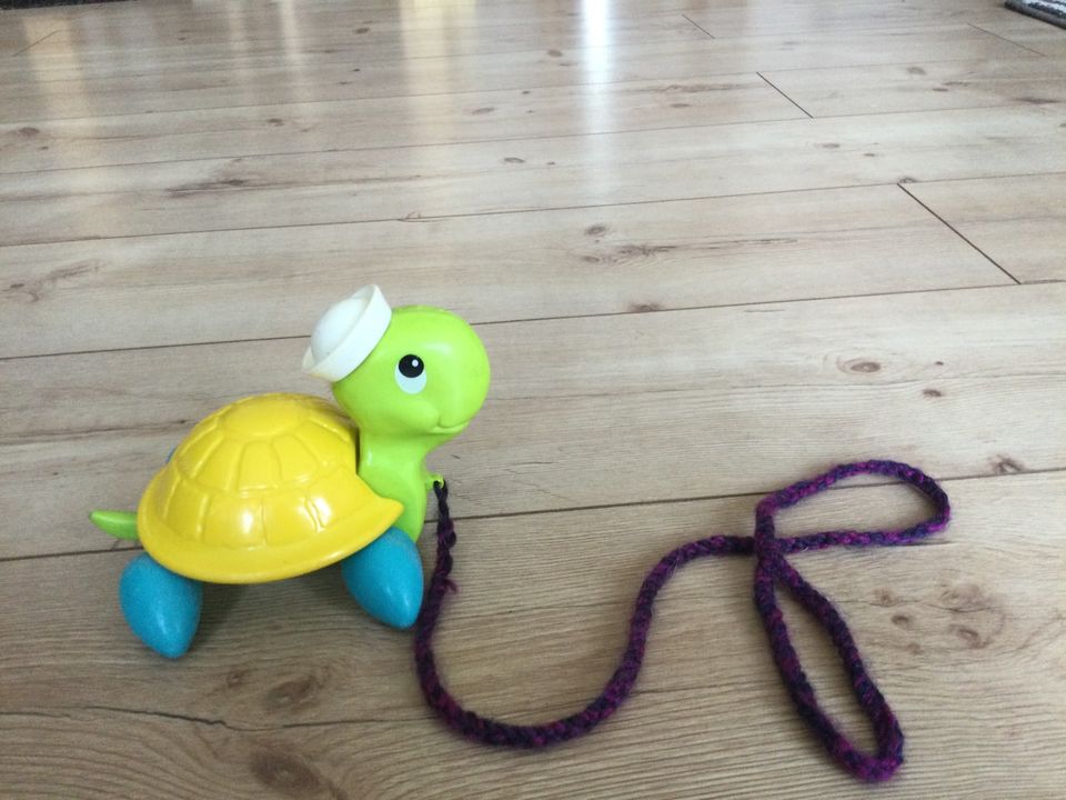 Ziehtier Schildkröte, Marke Fisher-Price (1977) in Niedersachsen -  Delmenhorst | Baby Spielzeug gebraucht kaufen | eBay Kleinanzeigen ist  jetzt Kleinanzeigen