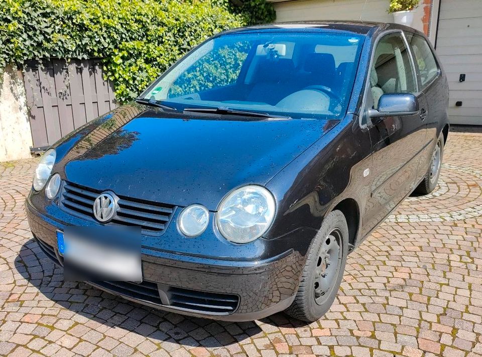 VW Polo 9N in Schöllkrippen