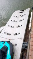 Jetski Ponton Dock Steg Nordrhein-Westfalen - Leverkusen Vorschau